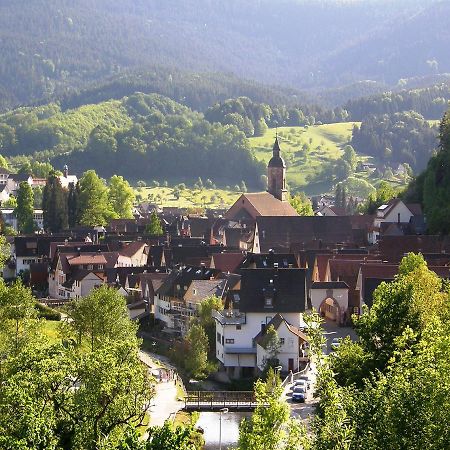 Ferienwohnung Am Hauskopf Oppenau Exteriér fotografie