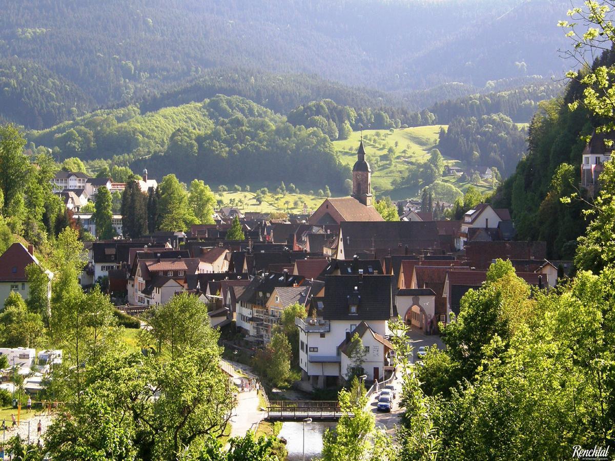 Ferienwohnung Am Hauskopf Oppenau Exteriér fotografie